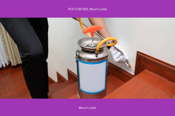 PEST CONTROL Mount Juliet